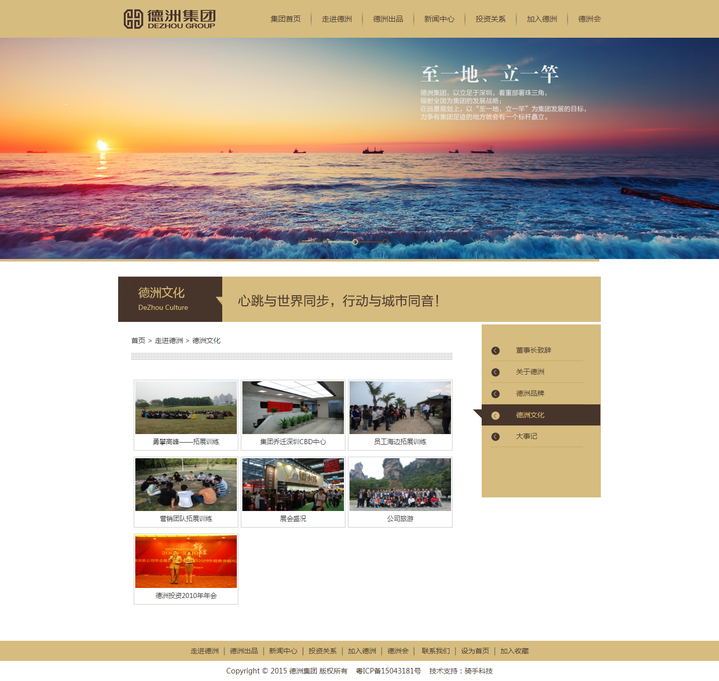 深圳市德洲集团有限公司官网
